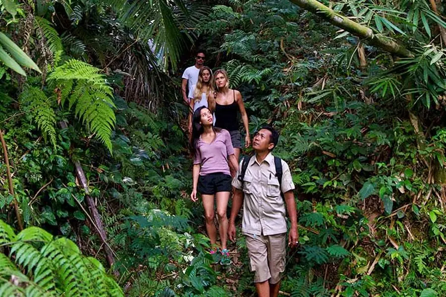 Bali Trekking & Elephant Park Visit 9