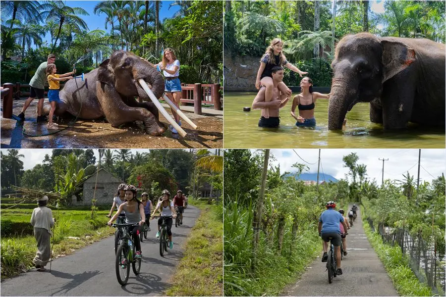 Mason Adventures Combo Packages 2