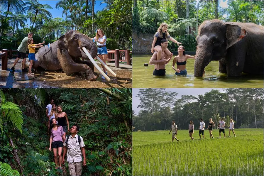 Mason Adventures Combo Packages 3
