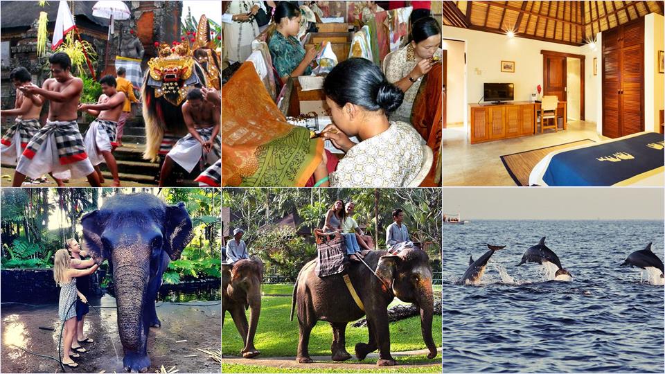 3 Days 2 Nights Mason Elephant Lodge + Lovina Dolphin Tour Package 1