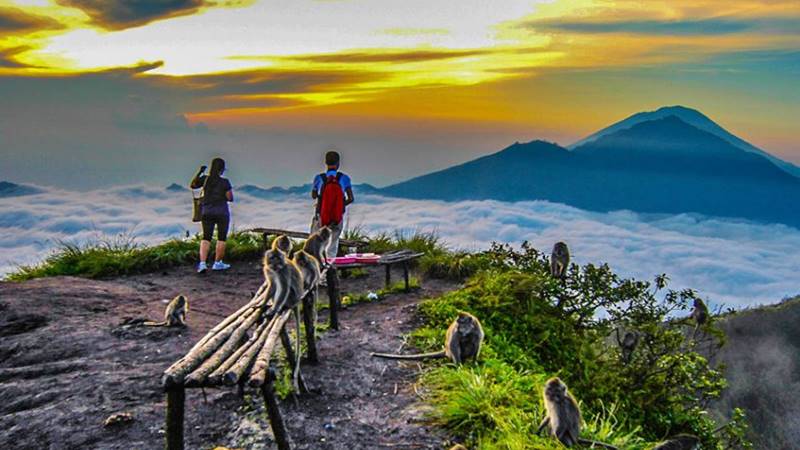 Hand Washing The Elephant + Mount Batur Hiking Tour 4