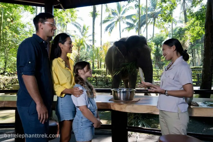 Elephant Wellness Walk Tour Bali 5