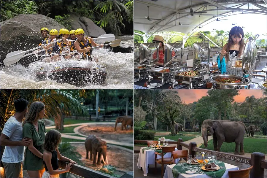 Mason Adventures Combo Packages 13