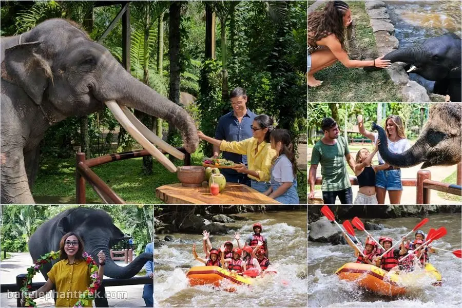 Bali Elephant Picnic Combination Super Deals Tour 1