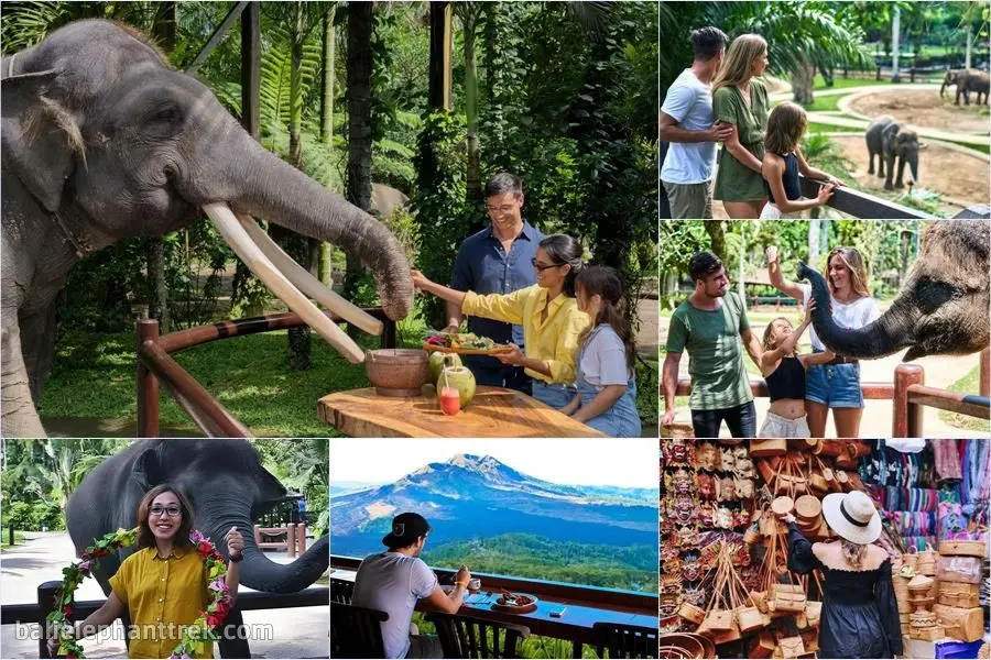 Bali Elephant Picnic Combination Super Deals Tour 2