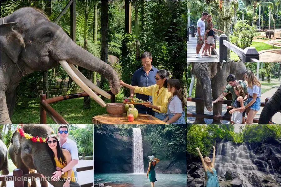 Bali Elephant Picnic Combination Super Deals Tour 3