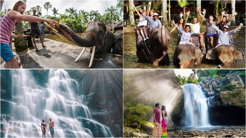 Elephant Ride With Combination Bali Tours 3