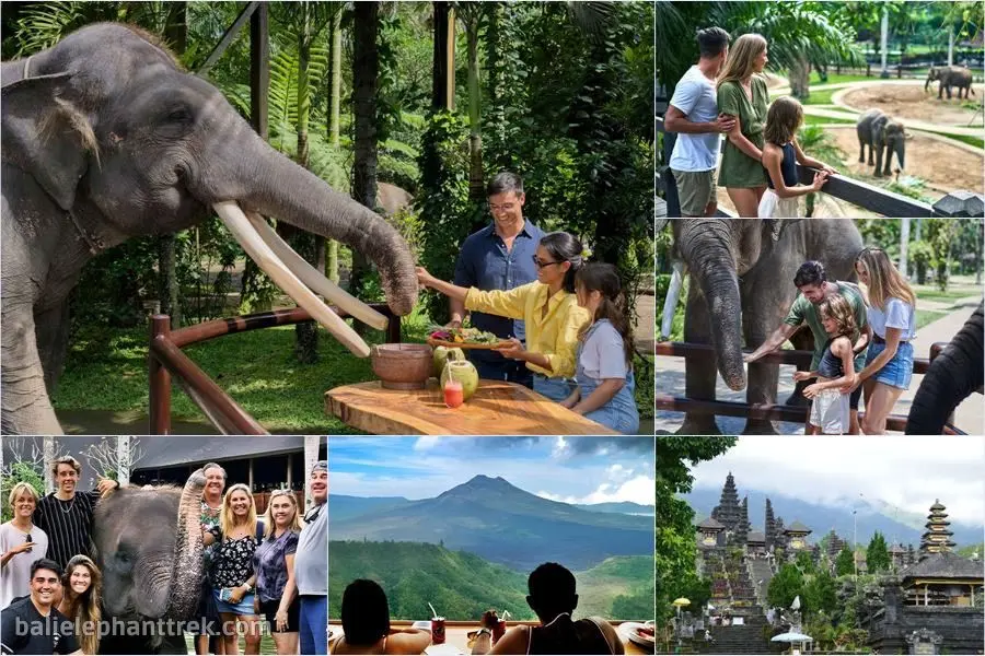 Bali Elephant Picnic Combination Super Deals Tour 4