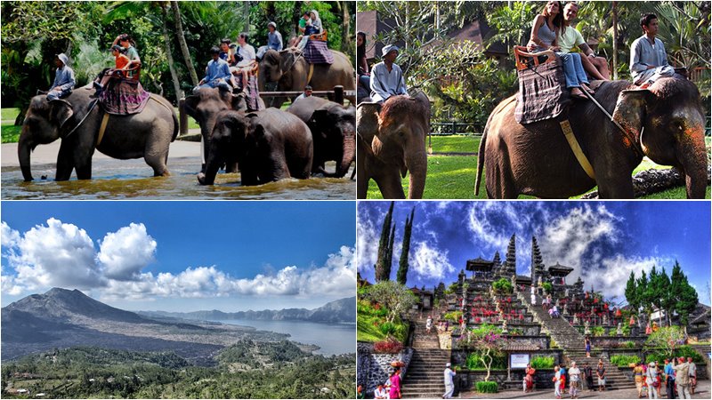 Elephant Ride With Combination Bali Tours 4