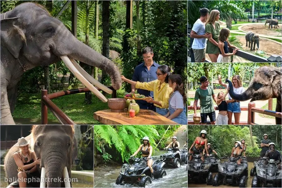 Bali Elephant Picnic Combination Super Deals Tour 5