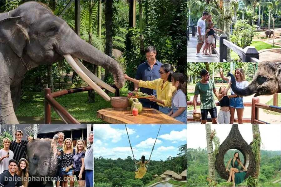 Bali Elephant Picnic Combination Super Deals Tour 6