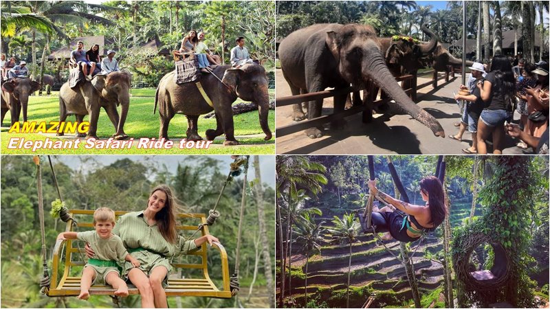 Mason Elephant Ride + Swing Ubud Tour 1