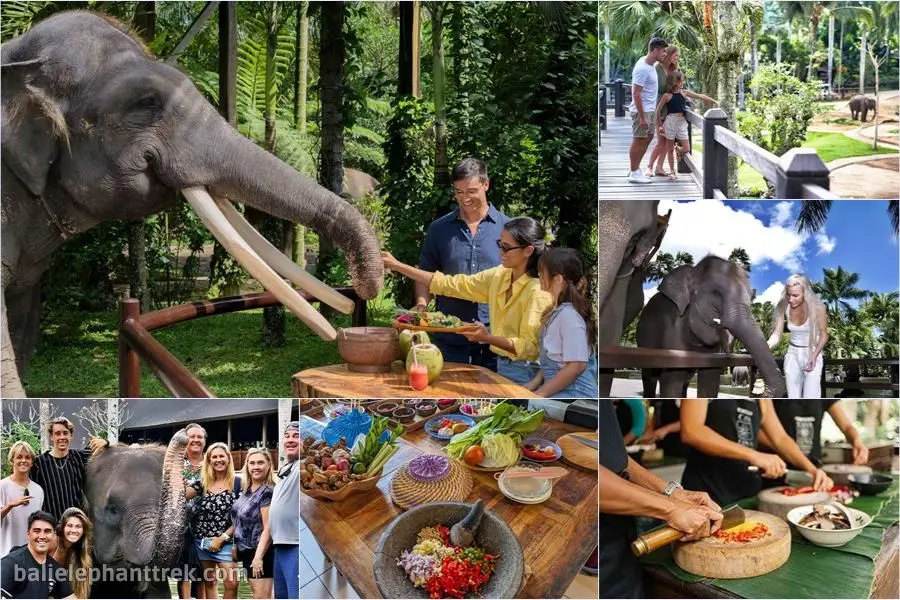 Bali Elephant Picnic Combination Super Deals Tour 7