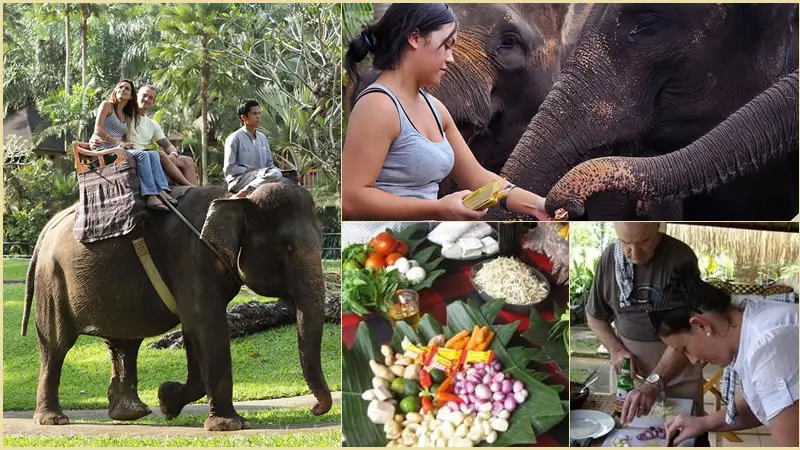 Elephant Ride With Combination Bali Tours 10