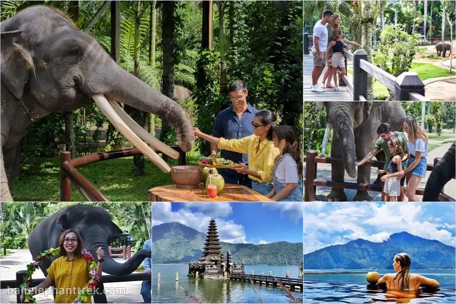 Bali Elephant Picnic Combination Super Deals Tour 8