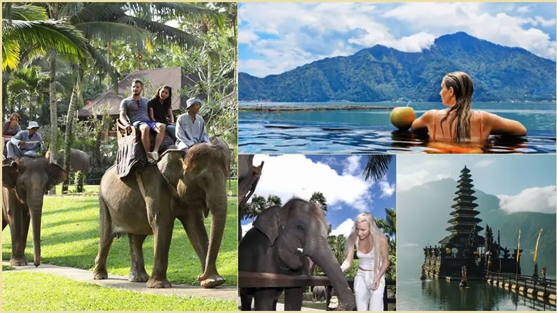 Elephant Ride With Combination Bali Tours 11