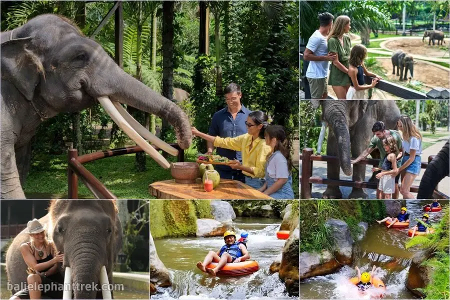 Bali Elephant Picnic Combination Super Deals Tour 9