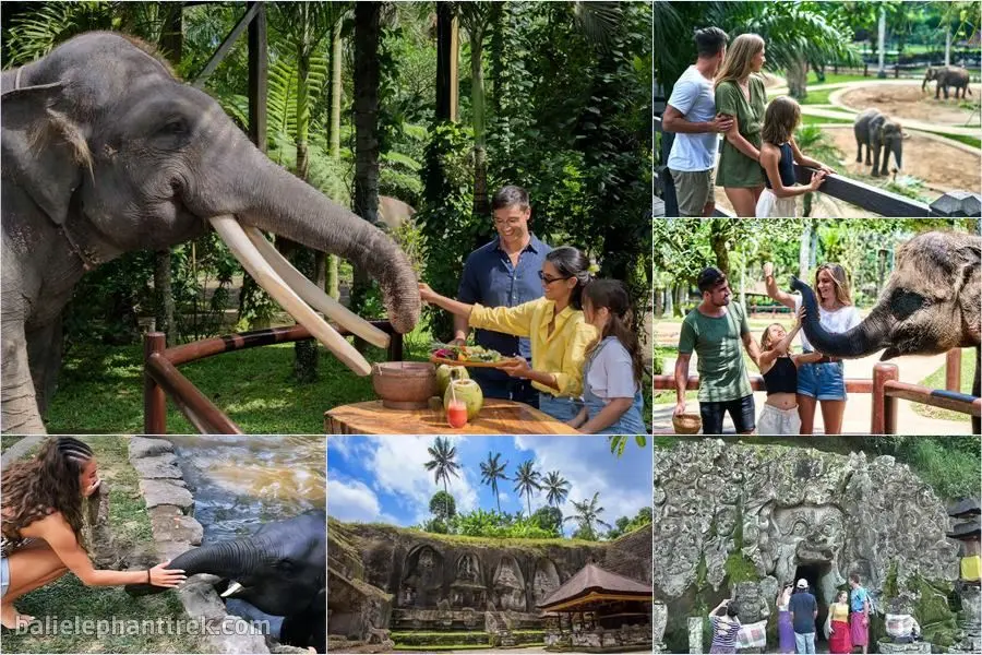 Bali Elephant Picnic Combination Super Deals Tour 10
