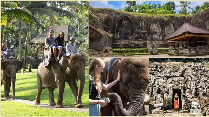 Elephant Ride With Combination Bali Tours 13