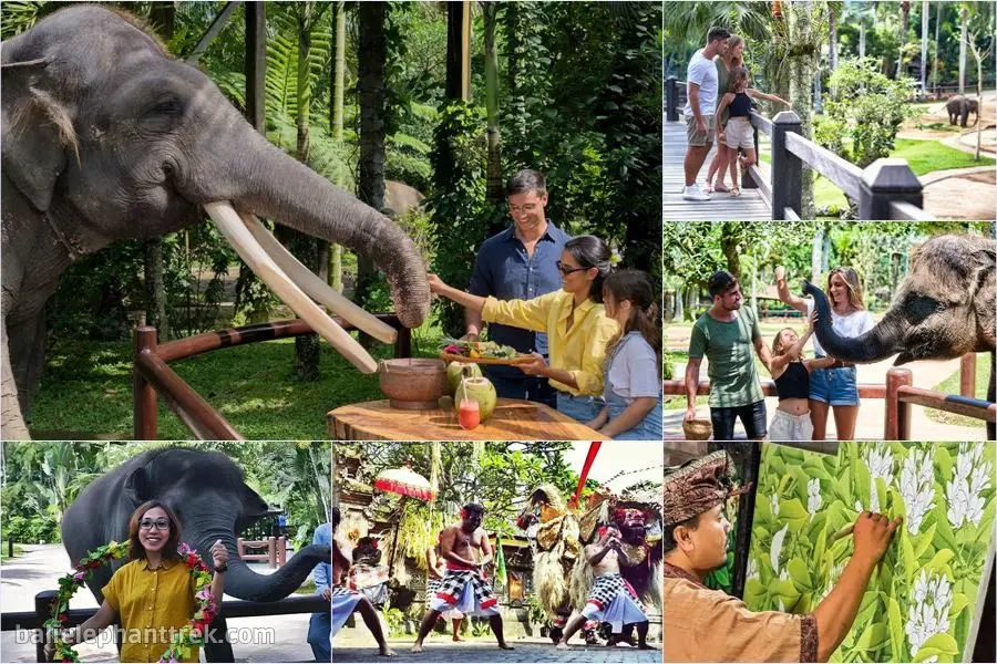 Bali Elephant Picnic Combination Super Deals Tour 11