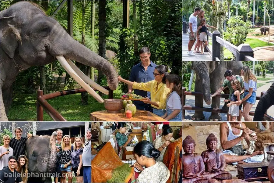 Bali Elephant Picnic Combination Super Deals Tour 12