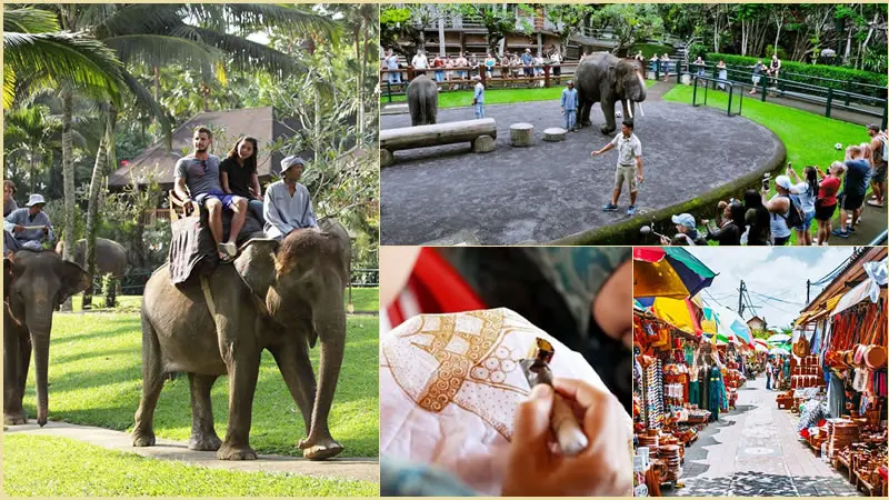 Elephant Ride With Combination Bali Tours 15
