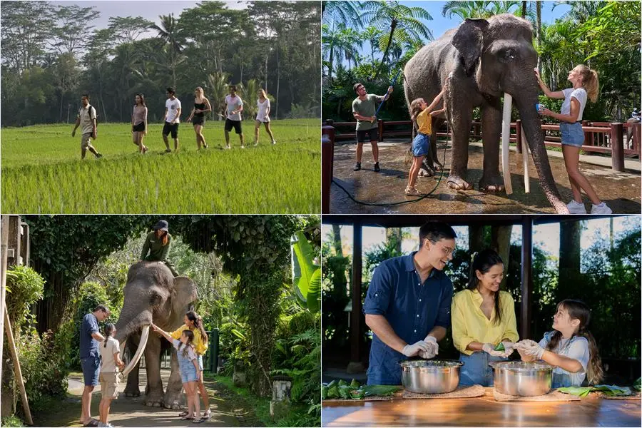 Mason Adventures Combo Packages 21
