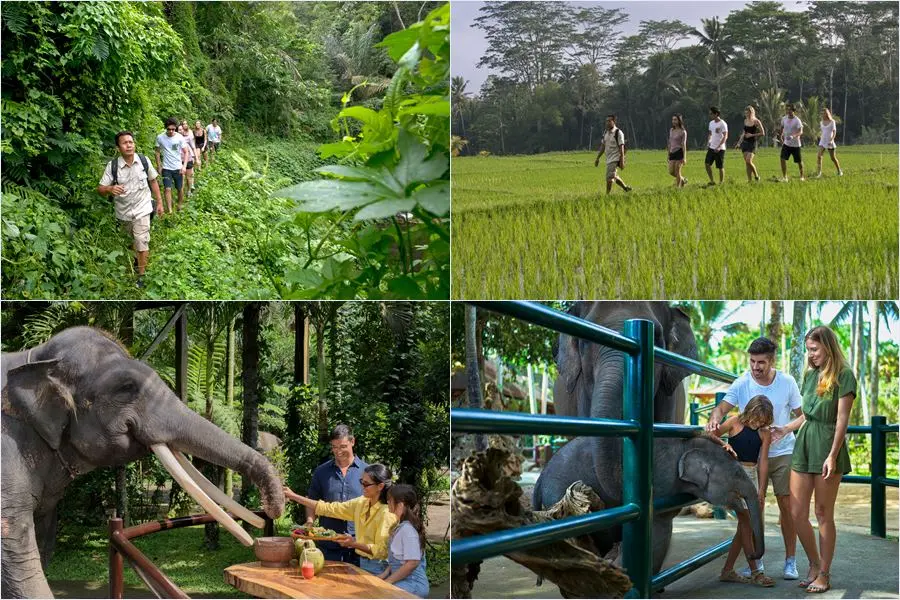 Mason Adventures Combo Packages 12