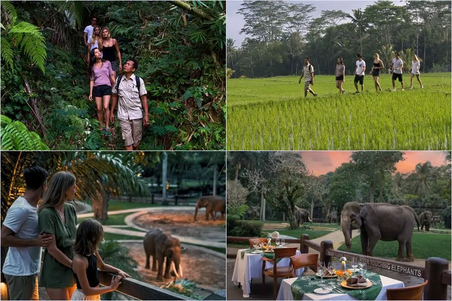 Mason Adventures Combo Packages 15