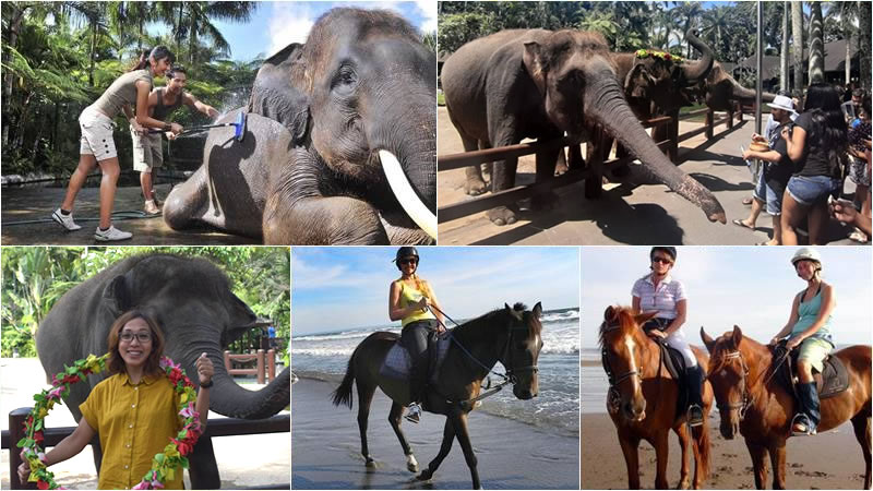 Bali Elephant Combination Super Deals Tour 4