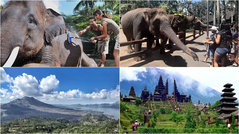 Hand Washing The Elephant + Mother Temple Tour 1