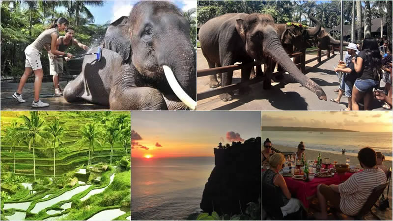 Bali Elephant Combination Super Deals Tour 10