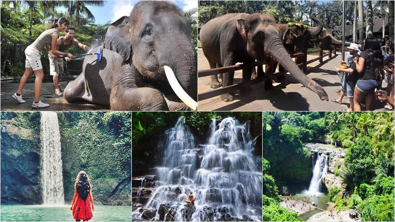 Bali Elephant Combination Super Deals Tour 12
