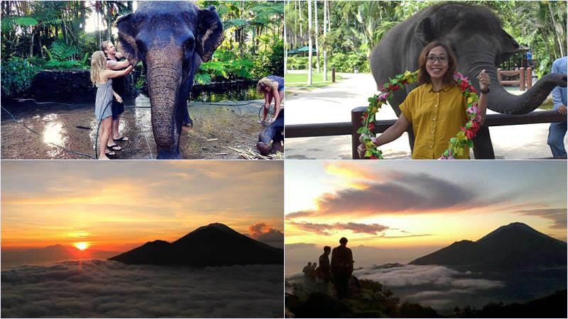 Bali Elephant Combination Super Deals Tour 13