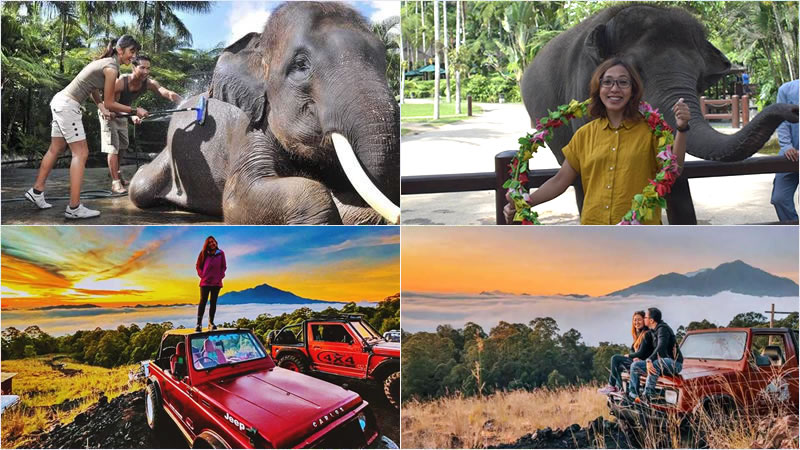 Bali Elephant Combination Super Deals Tour 14