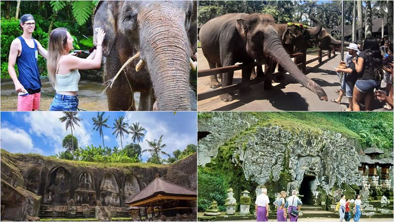 Bali Elephant Combination Super Deals Tour 15