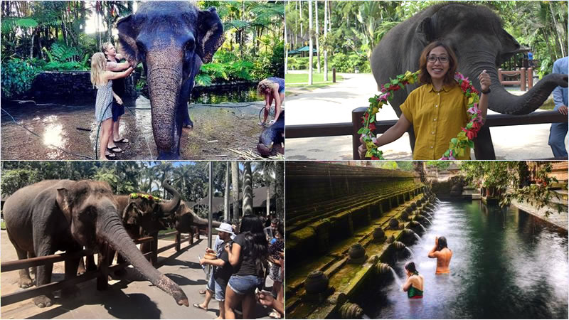 Bali Elephant Combination Super Deals Tour 16