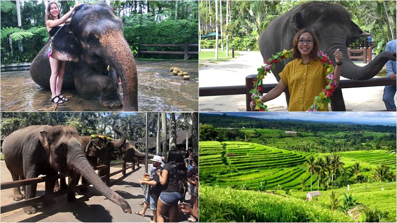 Bali Elephant Combination Super Deals Tour 17