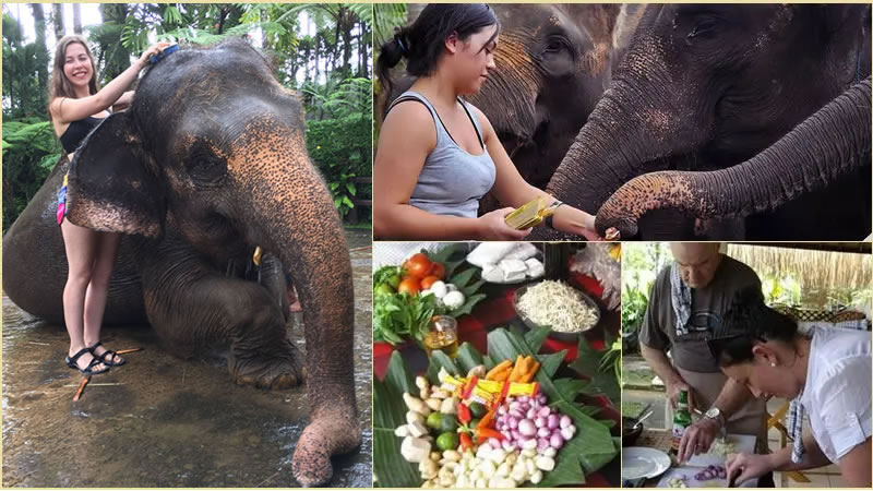 Bali Elephant Combination Super Deals Tour 18