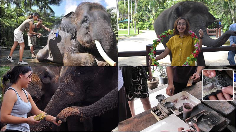 Bali Elephant Combination Super Deals Tour 19