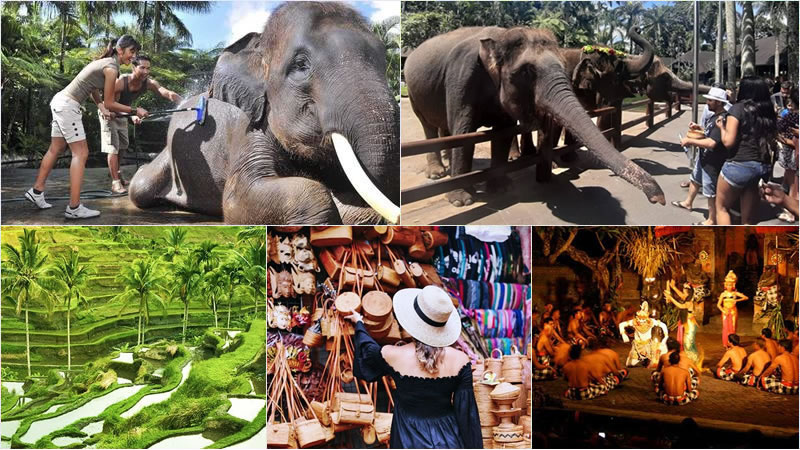 Bali Elephant Combination Super Deals Tour 21