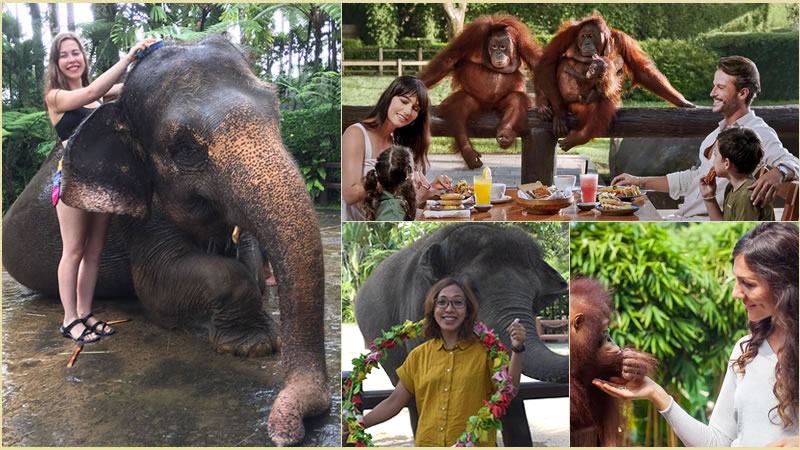Bali Elephant Combination Super Deals Tour 22