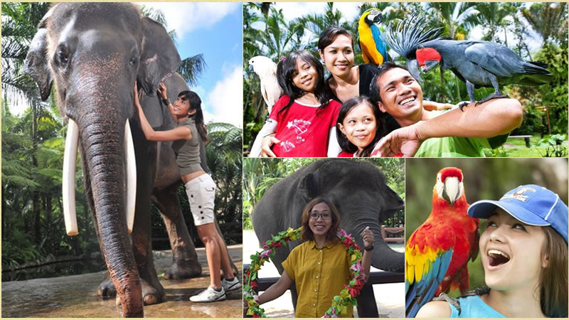Bali Elephant Combination Super Deals Tour 23