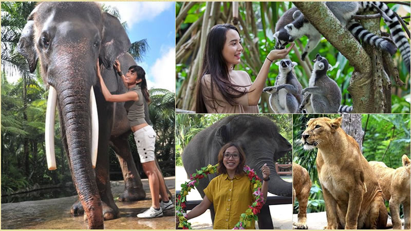 Bali Elephant Combination Super Deals Tour 24