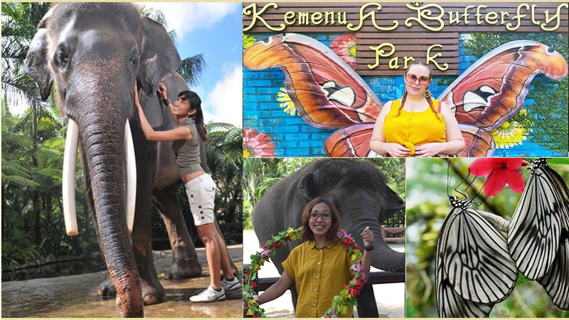 Bali Elephant Combination Super Deals Tour 25
