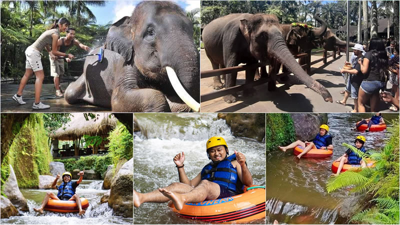 Bali Elephant Combination Super Deals Tour 26