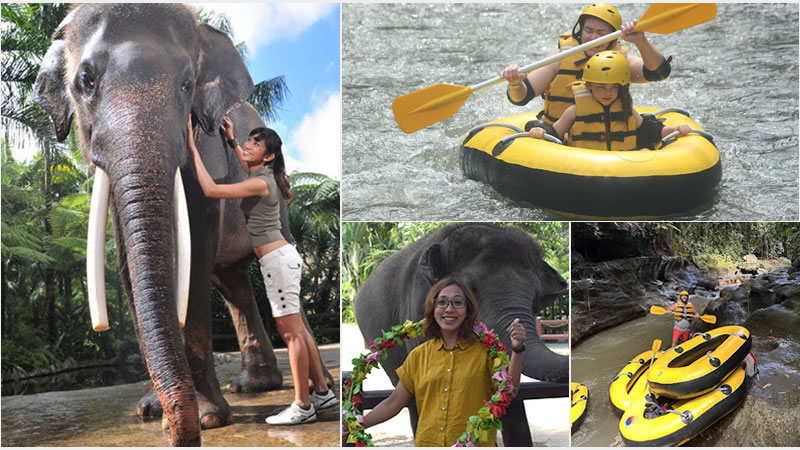Bali Elephant Combination Super Deals Tour 28