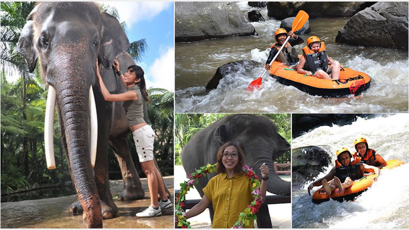 Bali Elephant Combination Super Deals Tour 29