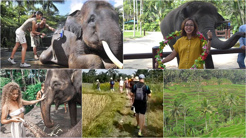 Bali Elephant Combination Super Deals Tour 30
