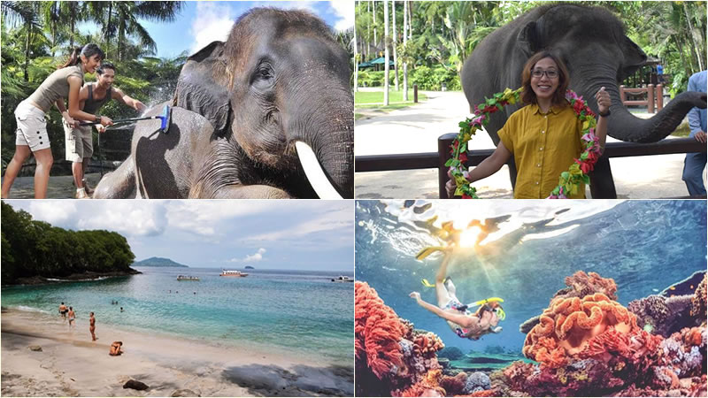 Bali Elephant Combination Super Deals Tour 31